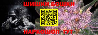 стаф Бузулук